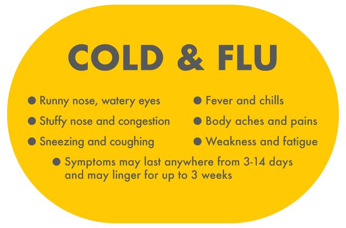 Cold and flu symptoms infographic with homeopathy treatment in Thane